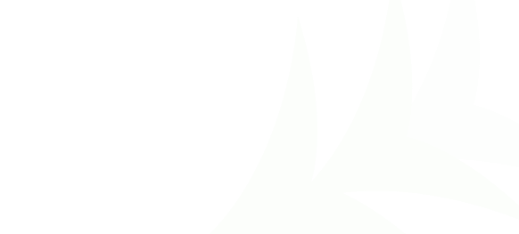 DownloadCardBg