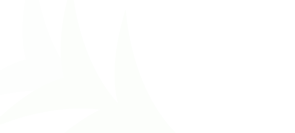 DownloadCardBg