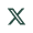X (Twitter)