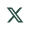 X (Twitter)